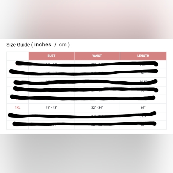 Baltic Born Slate + Rust Floral Olivia Maxi Dress - Picture 4 of 4